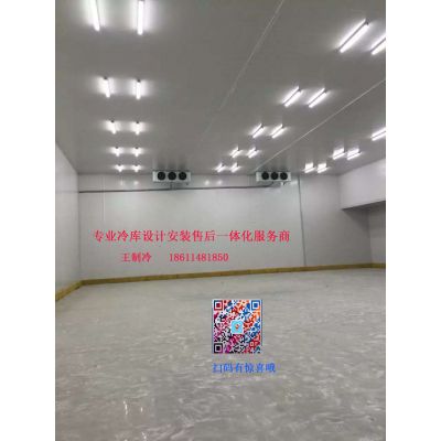 大北京固安冷库设计安装 各类冷库 18611481850王