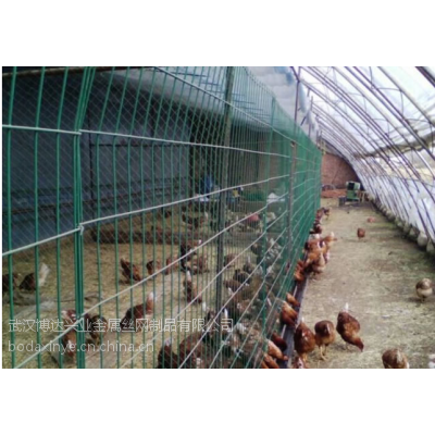 建始县养牛/养牲畜/养兔子/养野鸡专用铁丝网围栏