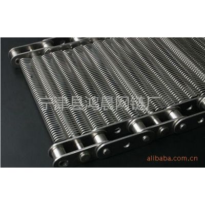供应不锈钢输送链网 输送网带