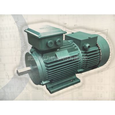 ľ˹YZR3-250M2-6ؼұת첽綯