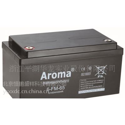 Aroma6-FM-24 12V24AH/20HR/***۸
