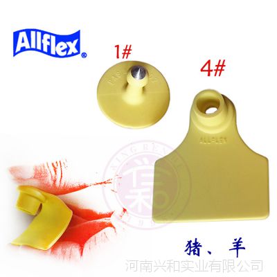 1 4ŰָALFöꡢ װ ɴӡ