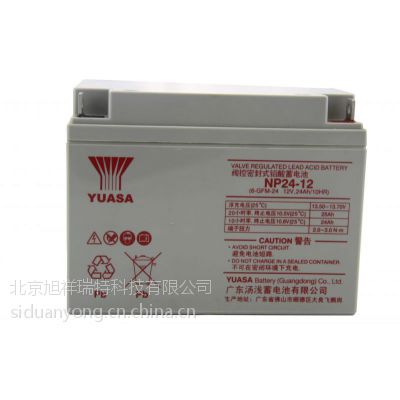 ȫֱǳNP24-12 ǳ12V24AH ǳ