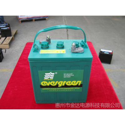 厂家批量供应8V电动高尔夫球车观光浏览车电瓶电动汽车蓄电池