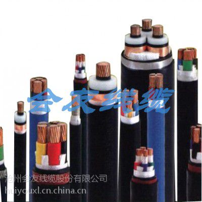 ±׵ WDZ 1*10 յ