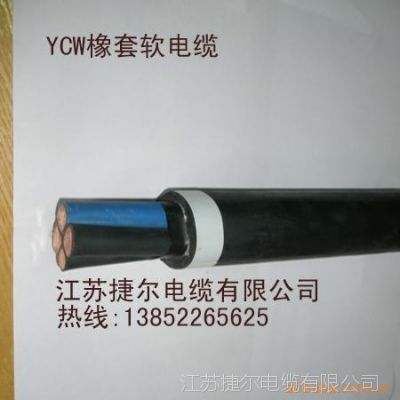 ׵רҵ YC 3*95