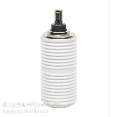ZW8 TD12/630-20 ZW8 TD12/1250-25 ZW8չܳ ZW8