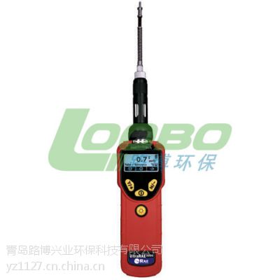 美国华瑞UltraRAE 3000特种 VOC检测仪 PGM-7360