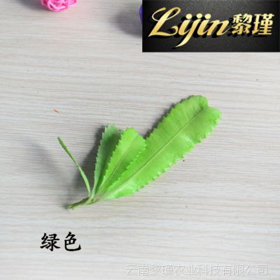 日本进口永生花  ***贝克丝叶花材 创意DIY生日情人节圣诞节礼物