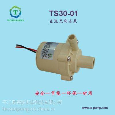 TS30-01TECSUNPUMPʤʳƷֱˮDC12V2M