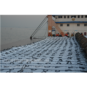 砂肋软体排的生产厂家