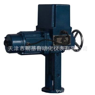 供應(yīng) 直行程電動(dòng)執(zhí)行器 電動(dòng)執(zhí)行機(jī)構(gòu) 電動(dòng)裝置 電動(dòng)頭 DKZ-5500