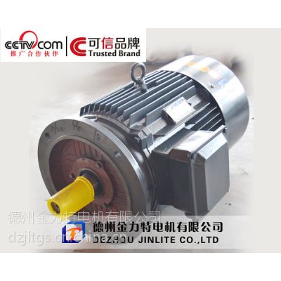 金力特YDT180L-8/6-5.5/12Kw变极多速三相异步电动机 山东电动机