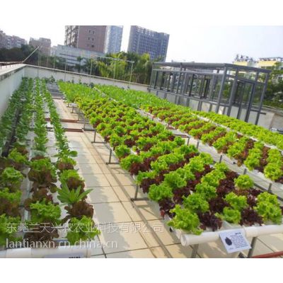 ��Ӧ��ӦͥԺ��̨���������豸�����߲˹Ϲ�����������ֲˮ���༼��