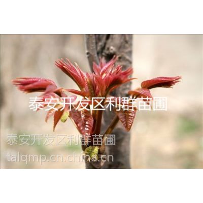 2015㴻 㴻۸ 㴻Ǯ 㴻Ӫֵ