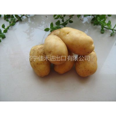 Ӧnew crop potato