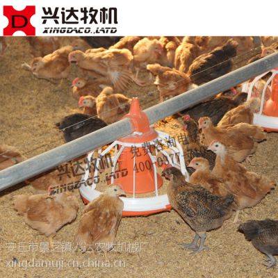 ⼦Զ豸 ר豸⼦Զι