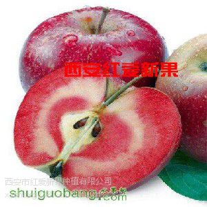 ƻĿڸأ