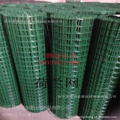 生产加工各种规格：荷兰网，圈玉米网，铁丝卷网，腾诚公司 18331811888