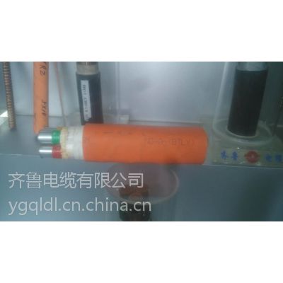 ӦϩԵϩȼ³ ZR-VV 1*1.5