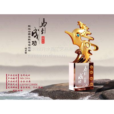 供应常德工业区企业奖杯，张家界旅游景点马年纪念礼品，马年礼品