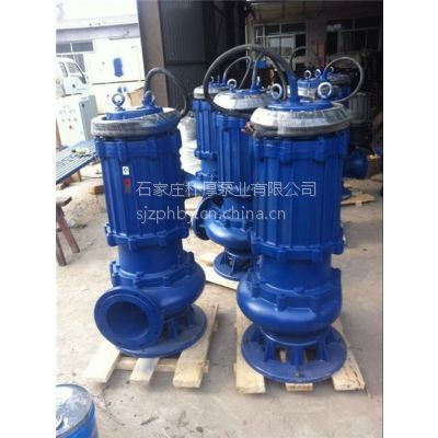 300QW800-20-75Ǳˮ