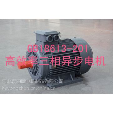 ֱ첽綯YE2 180M-2 22KW2***ͭ