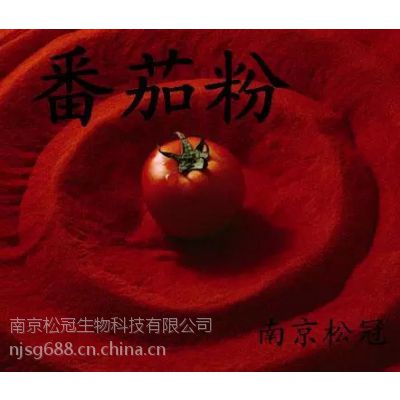 番茄粉生产厂家 江苏南京番茄粉价格
