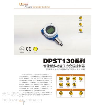 Ӧdpst130ϵͶ๦ѹƱ