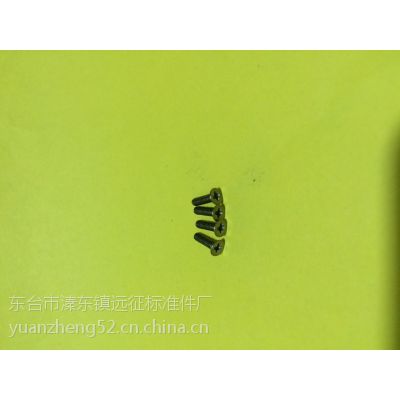 厂家直销M2*5钛沉头十字螺丝、