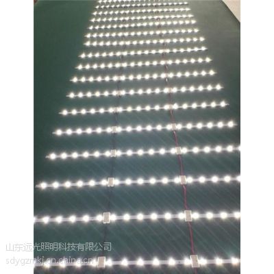 ledԶ(֤)