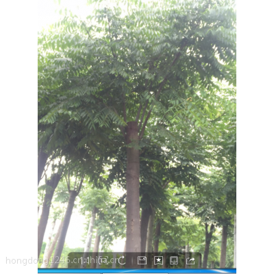 حظحȫحԭ