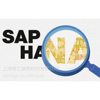 SAP Business One Cloud on HANA解决方案