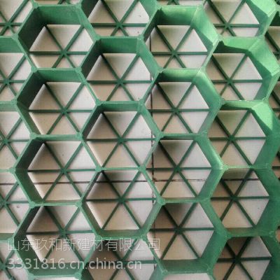 成都玖和新植草格绿化面积广，排水好