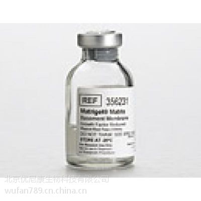 BD Fibronectin άӵ356008