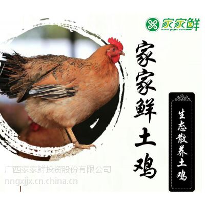 南宁土鸡优惠找家家鲜