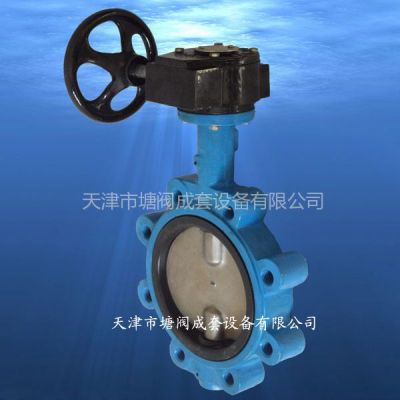 供应TVT DN50 WD37A1X-10 涡轮无销半轴式球墨铸铁蝶阀