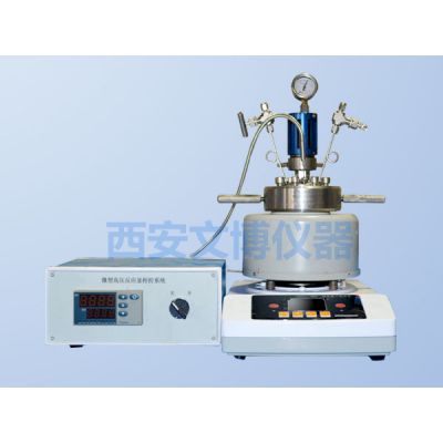 实验室微型机械搅拌程控高压反应釜