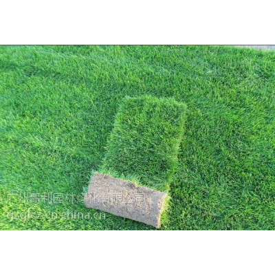 ݸ