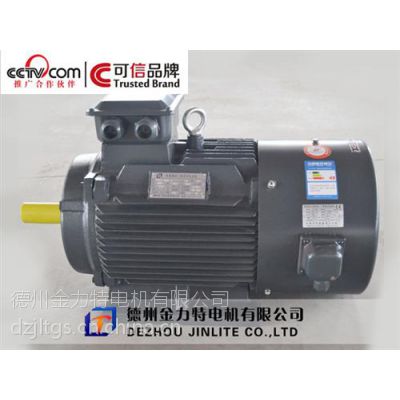 【山东电机】金力特YE2-225N-8-22KW三相异步电机厂家