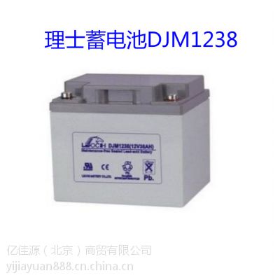 江苏理士电池DJM1238铅酸蓄电池12v38ah