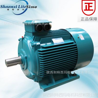 YE3 ЧʵYE3-315L2-2 185KW 380v