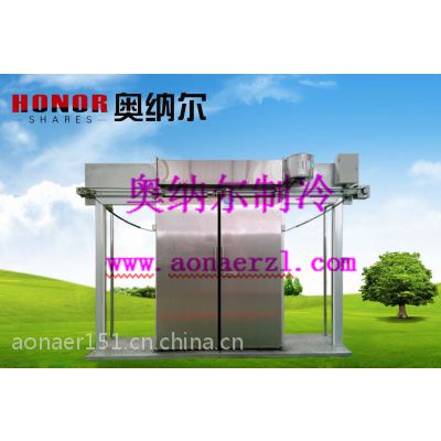 冷库门 双开电动平移门 山东滨州奥纳尔