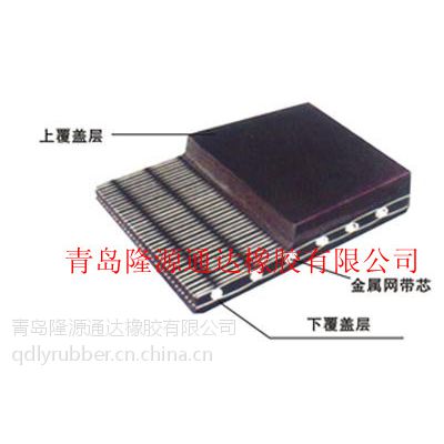供应SN钢网输送带都应用在哪些领域