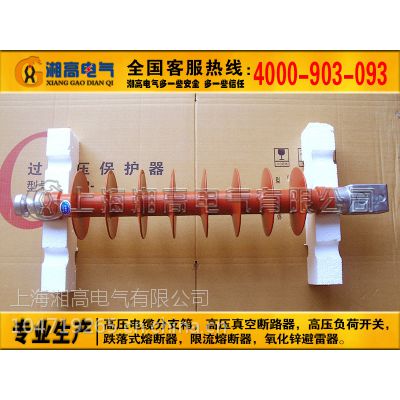 FZSW-35/6 FZSW-66/8 ֧ϾԵ