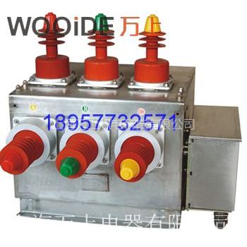 ӦZW10 ZW10-10 ZW10-12 ѹն· ֵ綯/ֶ 