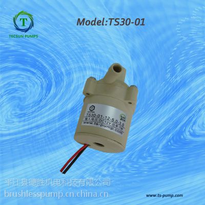 TECSUN PUMP 12V直流水泵 电磁直流水泵