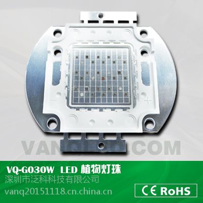 LEDֲ 30W 50W 4:1ɵ Ҷֲר