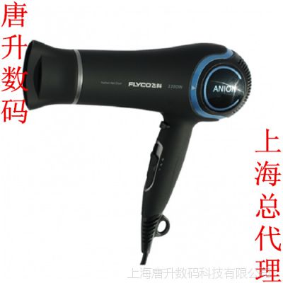 ɿƵ紵FH6220 2200W´ʴͲרҵȵ紵