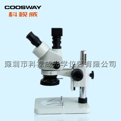 Ӧֱ 600Ŵ ѡʾ۲  Ŀ΢csw-45t1